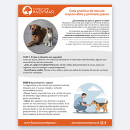 Guía de rescate